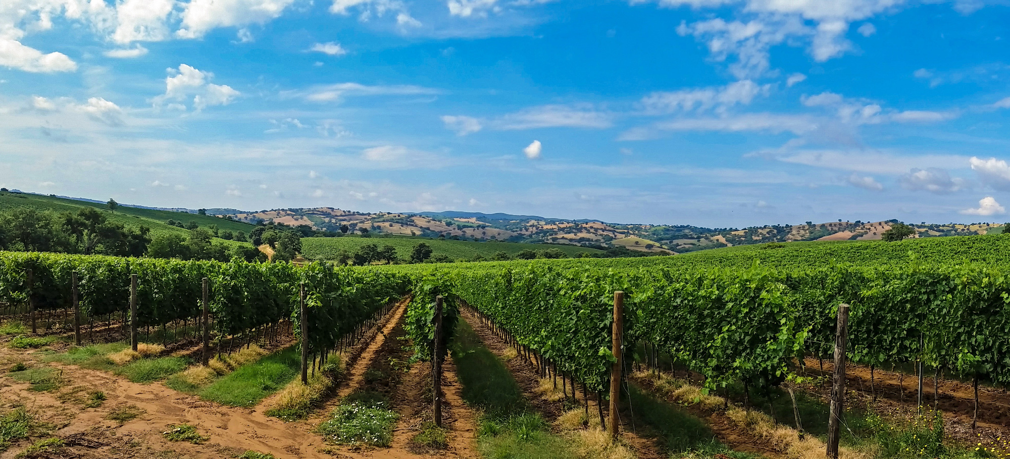Four Days Tuscan Private Wine Tour Tuscany In Tour 6931