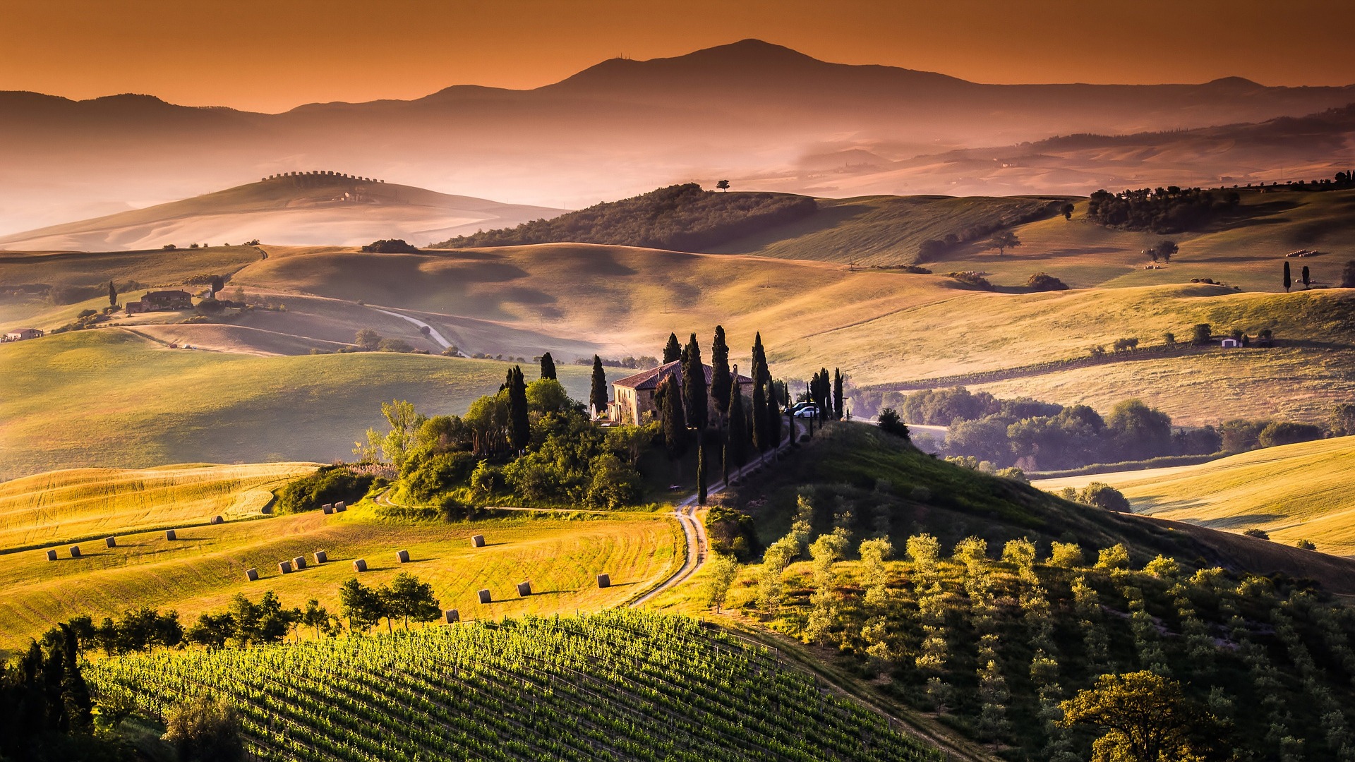Luxury Tuscany Wine Tour, 7 days Tuscany in Tour